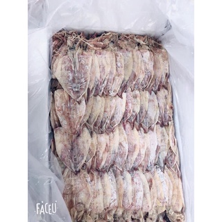 15 đến 20 CON MỰC KHÔ ĐỀU NGON NHƯ HÌNH