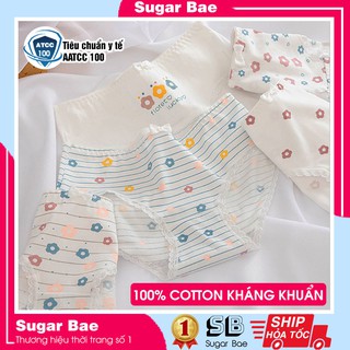 Quần Lót Nữ Cotton Cao Cấp Họa Tiết Hoa Nhỏ Xinh QL11