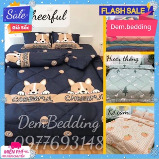 Bộ chăn ga mùa đông, chăn bông loại 1 cotton poly