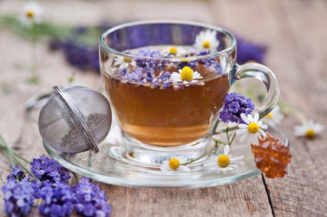 Sỉ trà hoa oải hương lavender hũ như hình