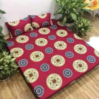 Set ga gối cotton poly( được chọn mẫu)