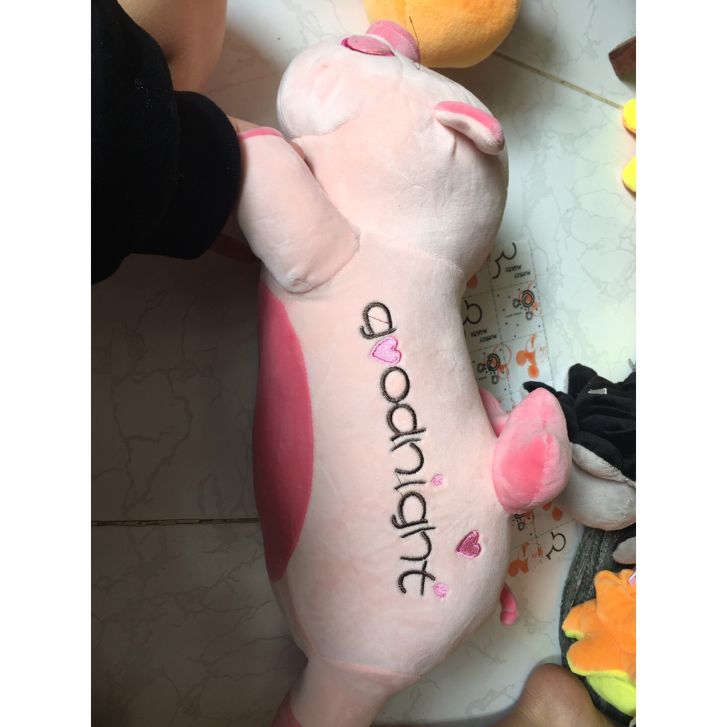 [CHUYÊN SỈ GIÁ SỐC] GẤU BÔNG HEO GOODNIGHT SIÊU CƯNG SIZE 50CM