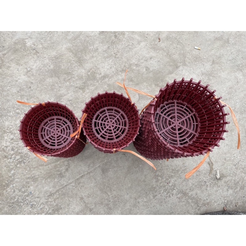 Chậu lan que nhựa