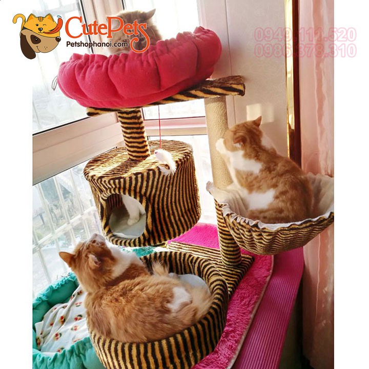 Nhà cây cho mèo Cat Tree 49x34x52cm Trụ cao móng dành cho mèo - Cutepets