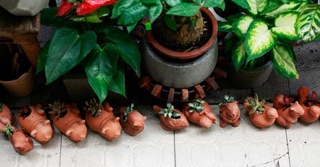 Chậu đất nung hình thú - trồng sen đá