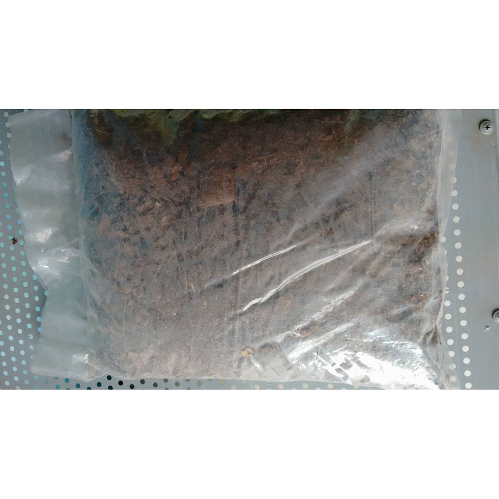 Bán buôn Giá thể trồng lan xơ dừa - 300gr bao đẹp