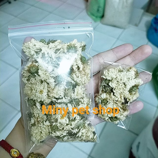 Hoa cúc sấy khô