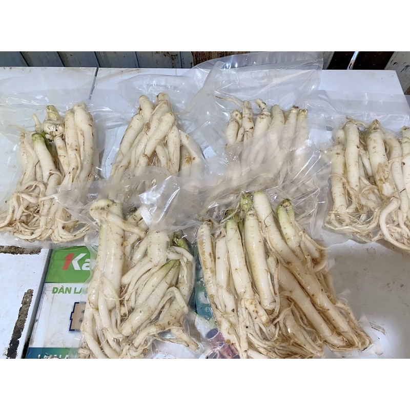 1kg Sâm dây Ngọc Linh tươi hàng chọn - ĐẢM BẢO CHẤT LƯỢNG 100% - DƯỢC LIỆU HÀ HOÀNG