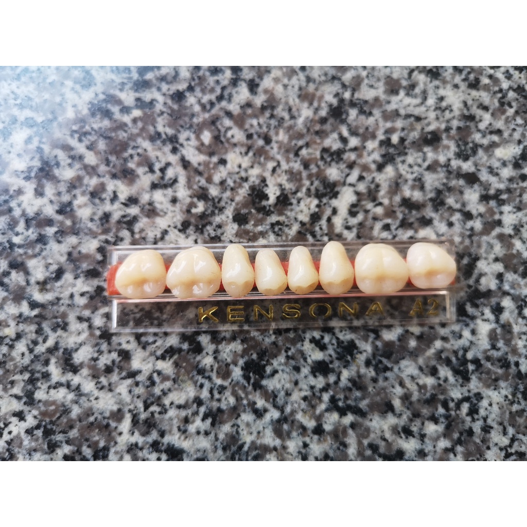 Răng nhựa giả dùng để học mài/ đính đá  / làm hàm tháo lắp nha khoa