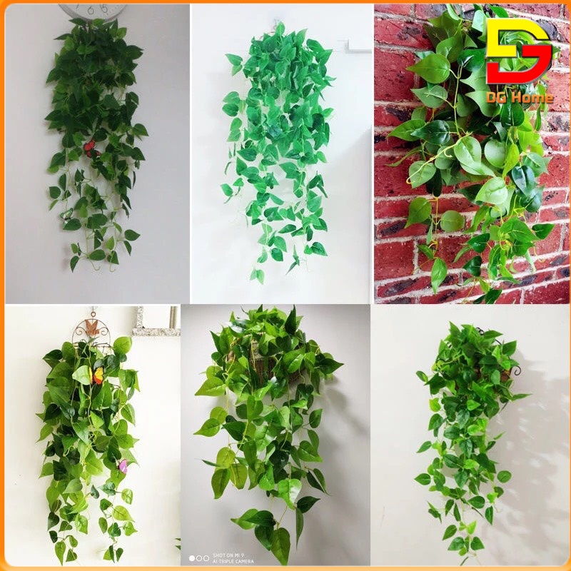 Giỏ Dây Leo Treo Tường Nhiều Mẫu Độc Đáo Đã Cắm Sẵn Dài 90cm Tặng Móc 3D DC-46