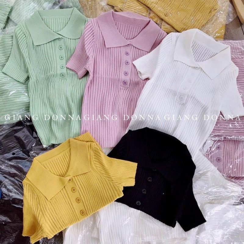 Áo len đũa khuy cổ bẻ hàng QCL1