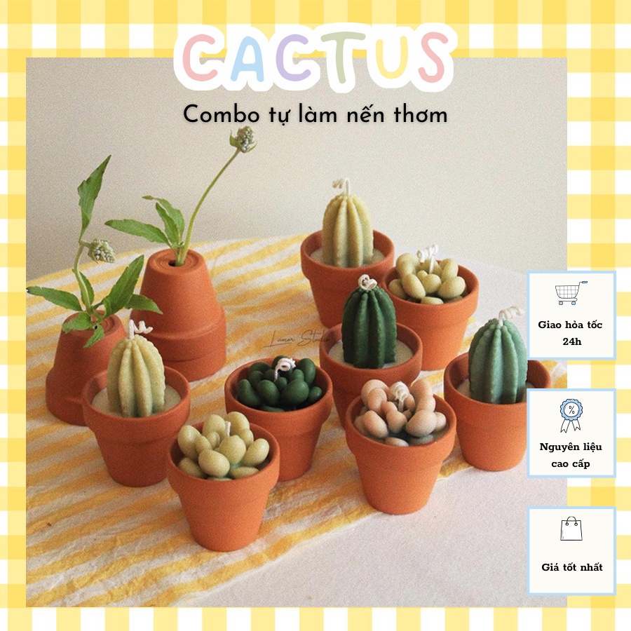 Combo tự làm nến thơm Cactus Candle sáp tự nhiên giảm căng thẳng