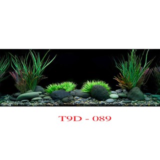 Tranh 3D bể cá mã T9D-089 kt (60,80,90,100,1m2,1m5,1m6)