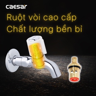 Vòi Lạnh Gắn Tường - W037C