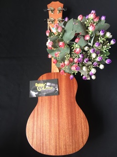 Đàn Ukulele Concert KT-650 CB2