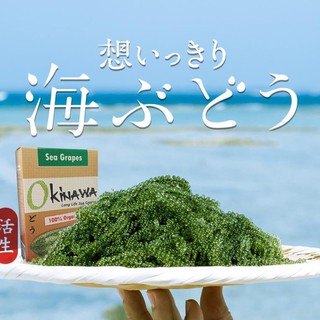 Rong nho biển tách nước Okinawa hộp lớn 18 gói + 2 chai sốt