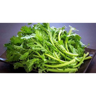 Hạt Giống Rau Tần Ô (Cải Cúc) Chiệu Nhiệt, Năng Suất Cao