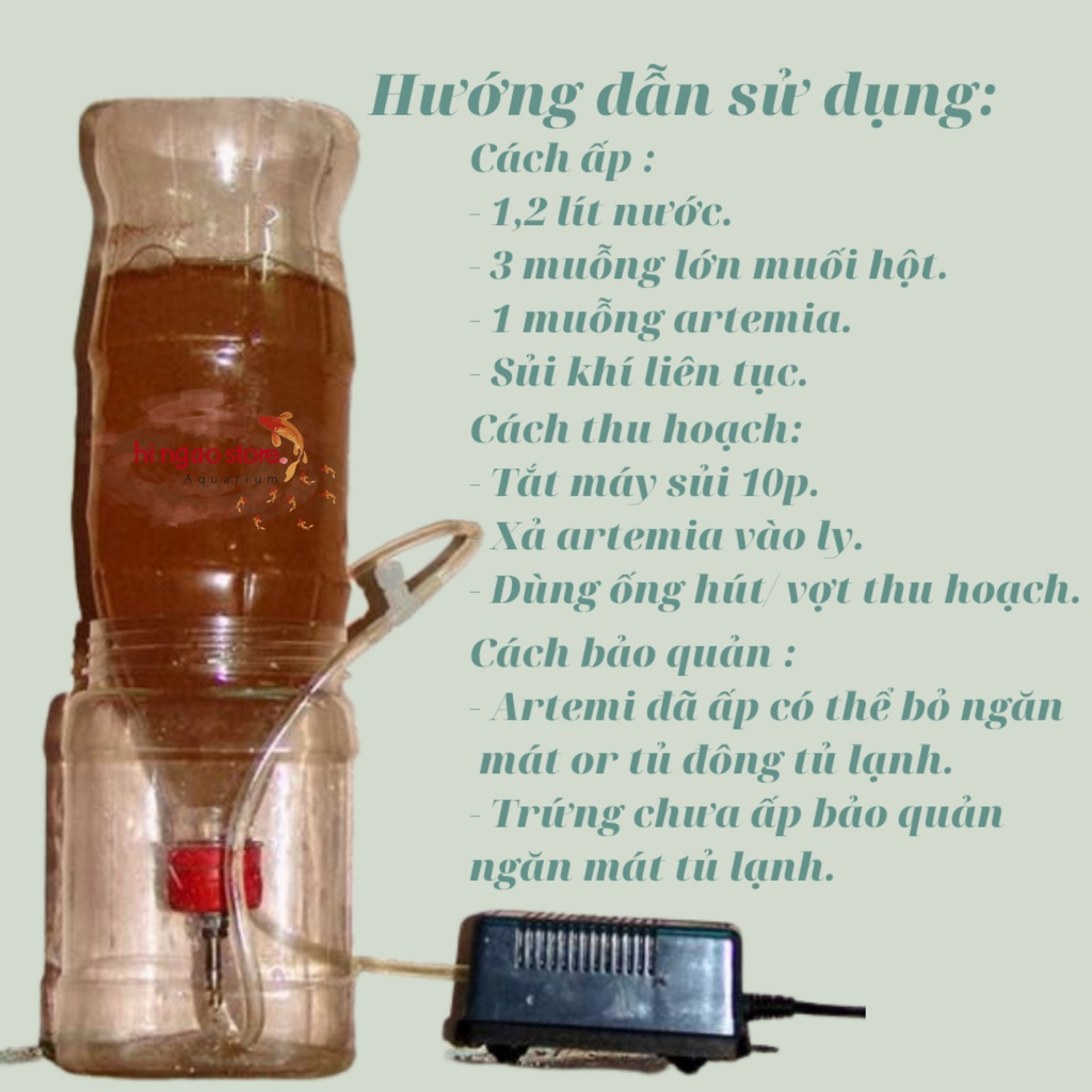 Trứng Artemia Mỹ Hàng Xịn -Thức ăn cá betta bột, cá bột | Hingaostore.