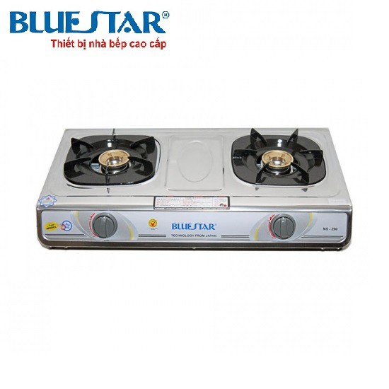 Bếp gas đôi Bluestar NS-290F/S