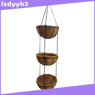 Hanging Coconut Planter Home Decor for Porch Outdoor Indoor Decoration