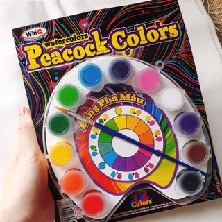 [GIÁ SỈ 33k/Vỉ] Sỉ 10 Vỉ màu vẽ Con công, màu nước 12 màu