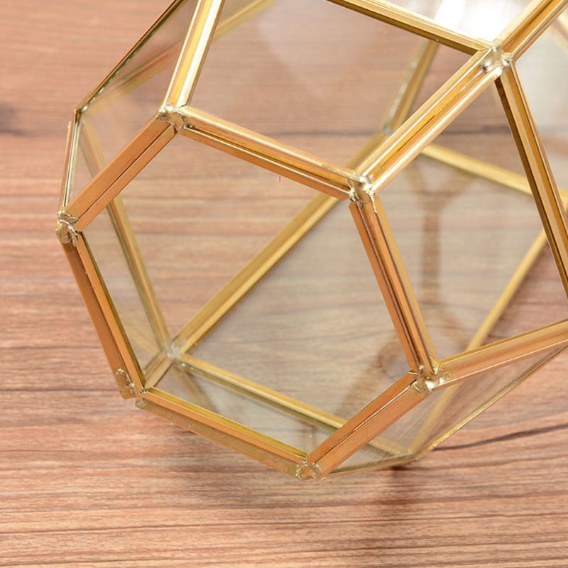 Hộp Thủy Tinh Trồng Cây Trang Trí Trong Nhà Với Thiết Kế Sáng Tạo Bắt Mắt 9.4 Inch