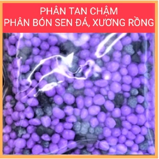 Phân tan chậm - Phân bón sen đá, xương rồng thông minh