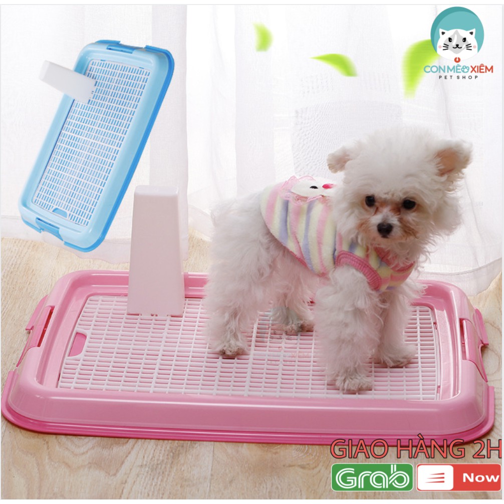 [Mã PET50K giảm Giảm 10% - Tối đa 50K đơn từ 250K] Khay vệ sinh cho chó có cọc, khay cho chó đực chó cái Con Mèo Xiêm