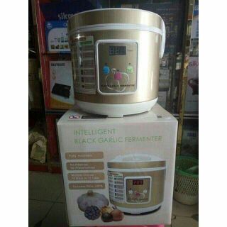 Máy làm tỏi đen Berylpop BL-1668