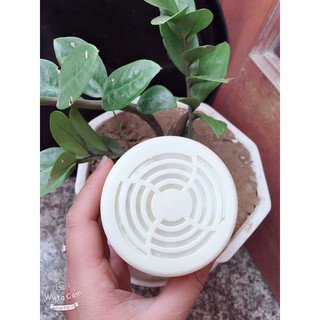 Sỉ SÁP THƠM ĐỂ PHÒNG LYMO ( Gía tốt )