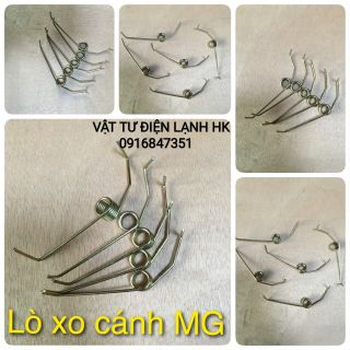 Lò xo cánh cửa máy giặt