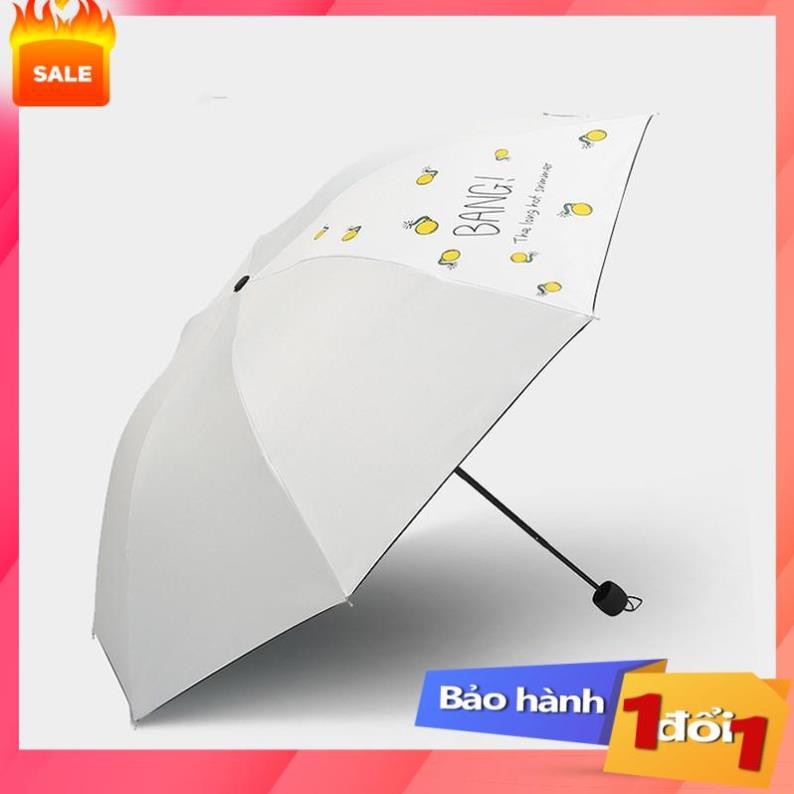 [SALE] Ô Bang Dù Cầm Tay Che Mưa Chất Lượng, Giá Gốc,Ô Che Mưa Hàn Quốc Siêu Sang,Giảm 50%,Dù Thời Trang Cao Cấp,Mẫu Mới