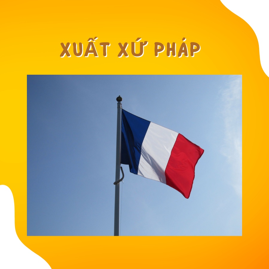 [Bao 10KG] Hạt Royal Canin Kitten Cho Mèo Từ 4-12 Tháng Tuổi