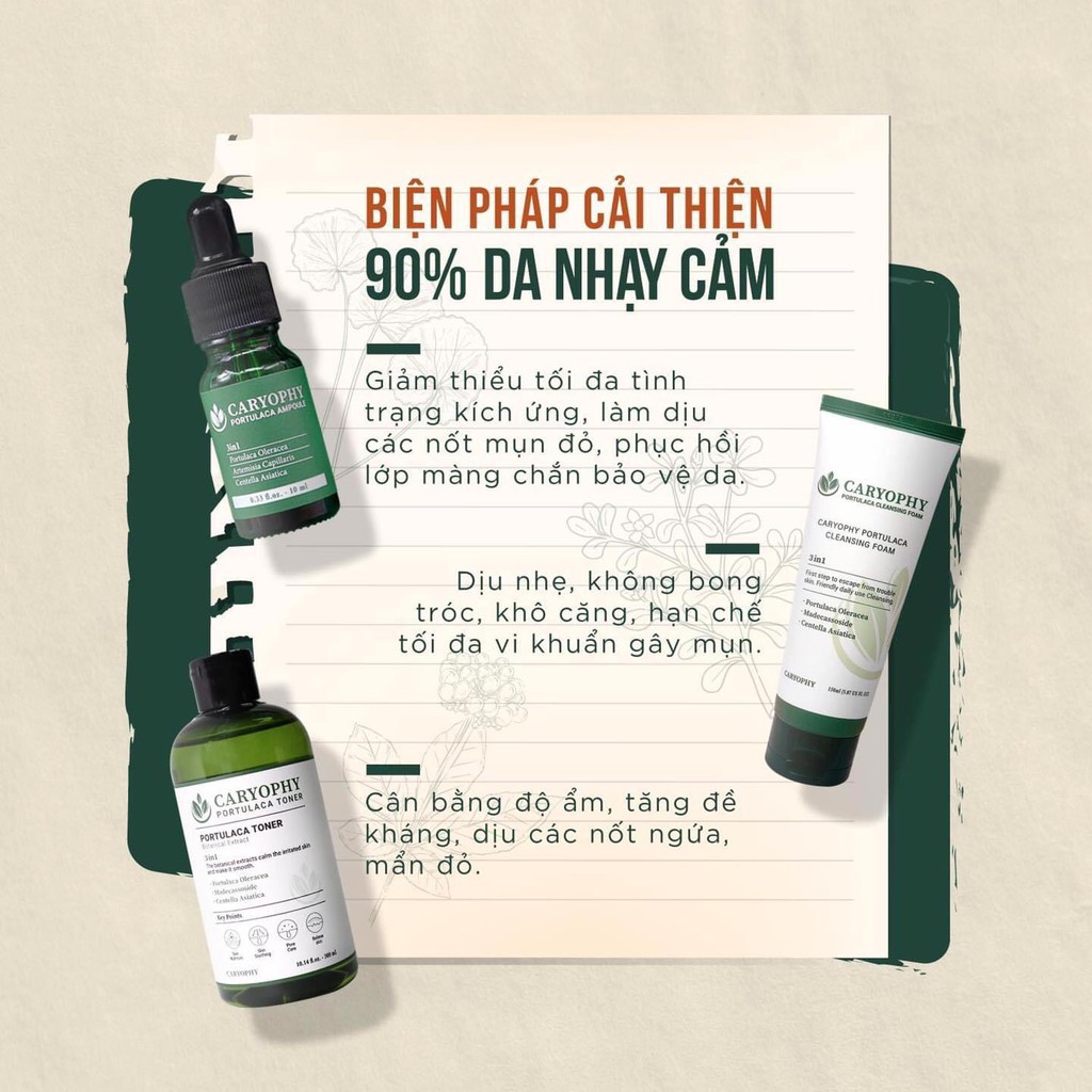 Combo 3 Món Ngăn Ngừa Mụn Thâm Serum - Toner - Sữa Rửa Mặt Caryophy Hàn Quốc