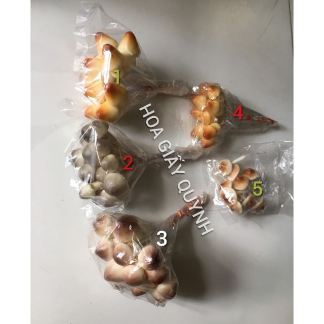NẤM TRANG TRÍ