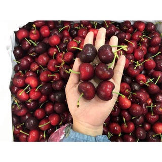 [Giao nhanh trong HCM] Cherry size 9