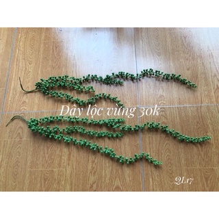 Rủ lộc vừng