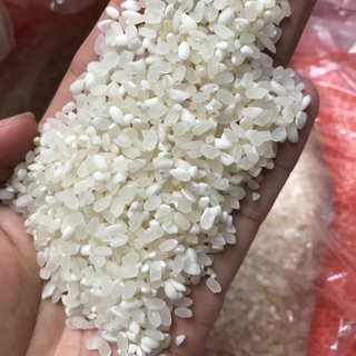 Đặc sản gạo Sén Cù tròn