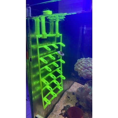 Dàn treo đế frag san hô thông minh