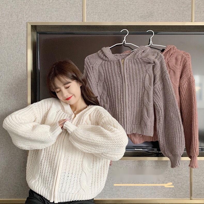 Áo Khoác Len Cardigan Dáng Rộng Có Khóa Kéo Thời Trang Thu Đông Cho Nữ