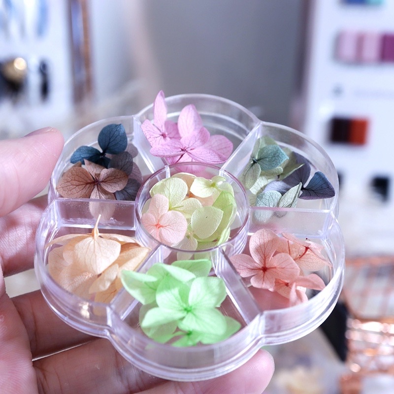 Sét hoa khô nail trang trí móng☄️FREESHIP☄️