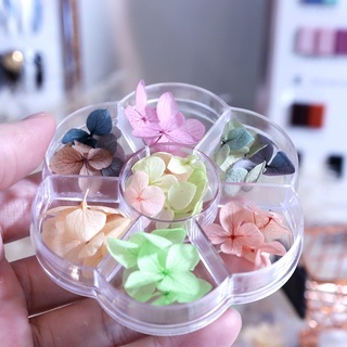 Sét hoa khô nail trang trí móng☄️FREESHIP☄️