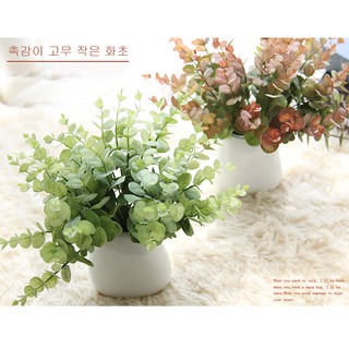 Tổng Kho Decor Hoa Giả - BÓ LÁ CÂY KHUYNH DIỆP LOẠI 1 Giống Thật - 1 bó 5 nhánh