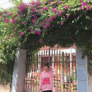 Giữ nhiệt lạnh