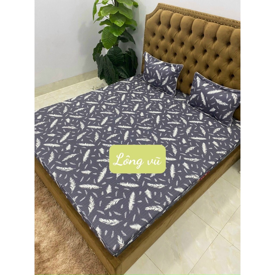 SALE LỖ -ga chun cotton hàn quốc- kích thước 1m6/1m8- tim chấm ghi