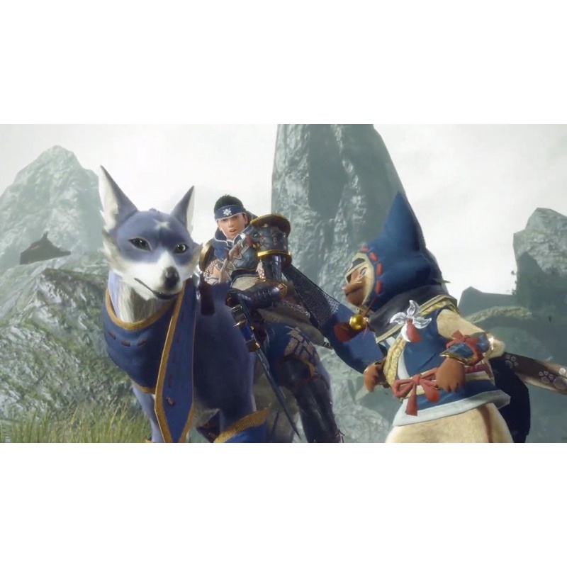 Đĩa game nintendo switch : Monster hunter rise