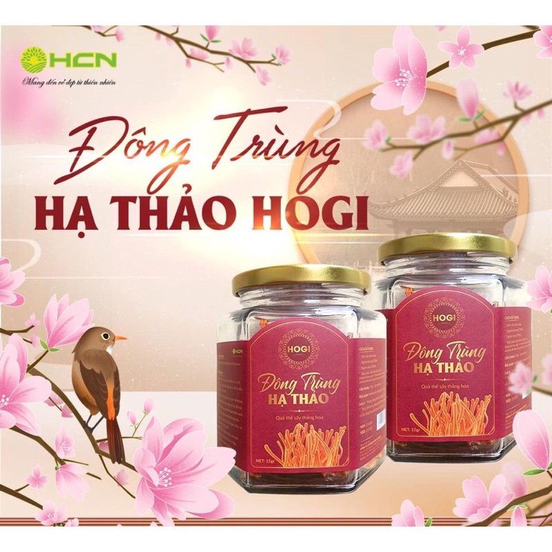 Nấm đông trùng hạ thảo 15g Hogi Nguyên chất 100% - Bổ thận tráng dương, nâng cao sức đề kháng