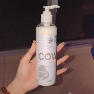 🐄 kem ủ milchy cowcow - ủ sữa bò