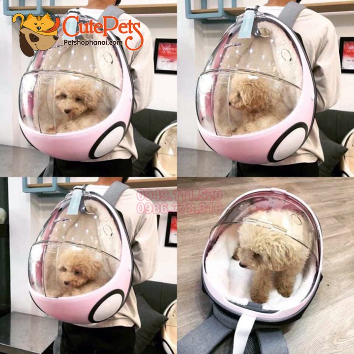 Balo bọ dừa Ladybug - Balo phi hành gia Dành cho chó mèo - CutePets