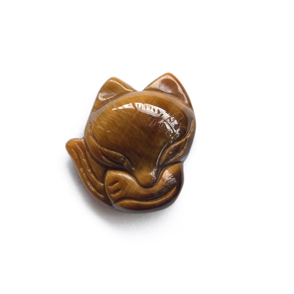 Hồ ly Mắt hổ vàng | Tiger Eyes Fox
